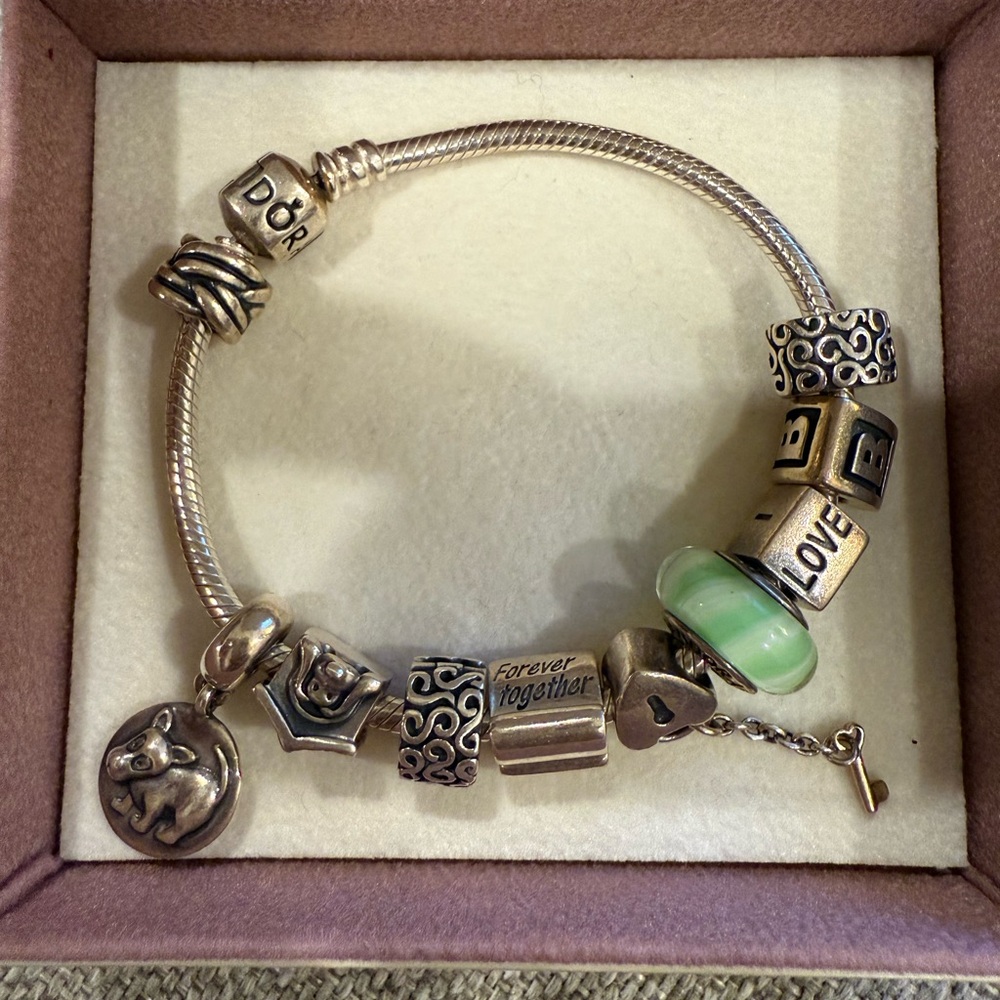 Pandora bracelet and charms